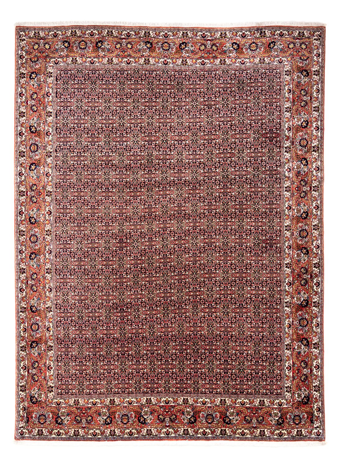 Persisk matta - Bijar - Royal - 332 x 248 cm - rost