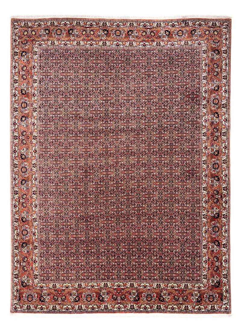 Persisk matta - Bijar - Royal - 332 x 248 cm - rost
