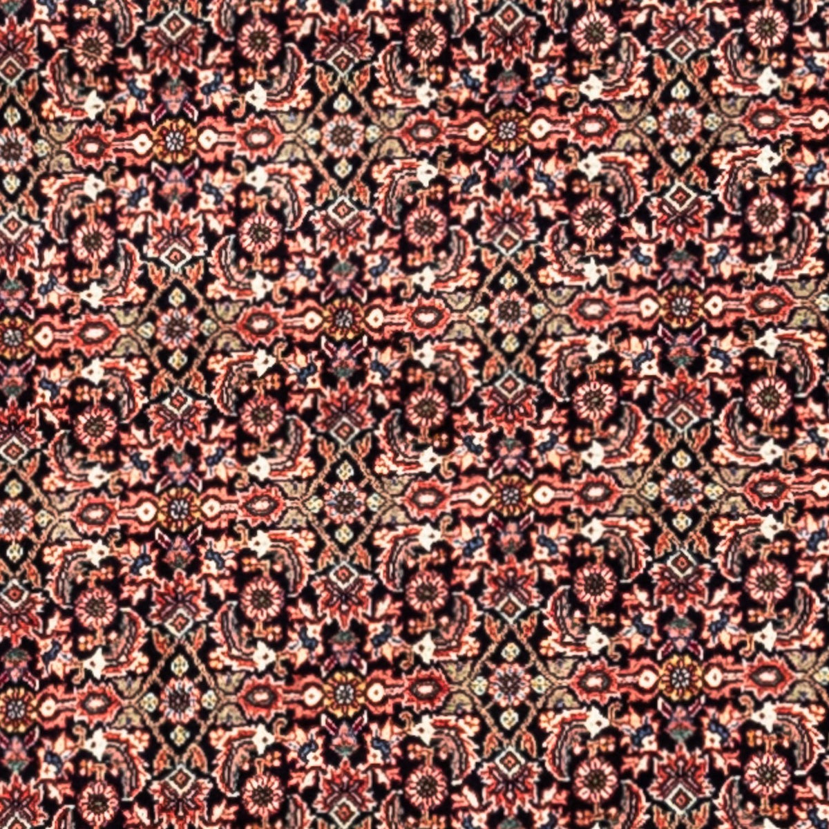 Persisk matta - Bijar - Royal - 332 x 248 cm - rost