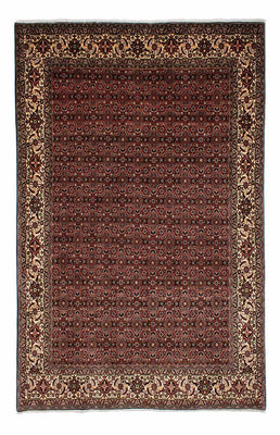 Persisk matta - Bijar - 293 x 198 cm - brun