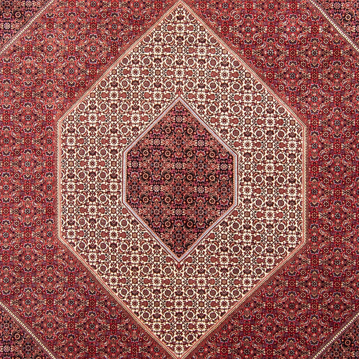 Persisk matta - Bijar - 358 x 253 cm - mörkröd