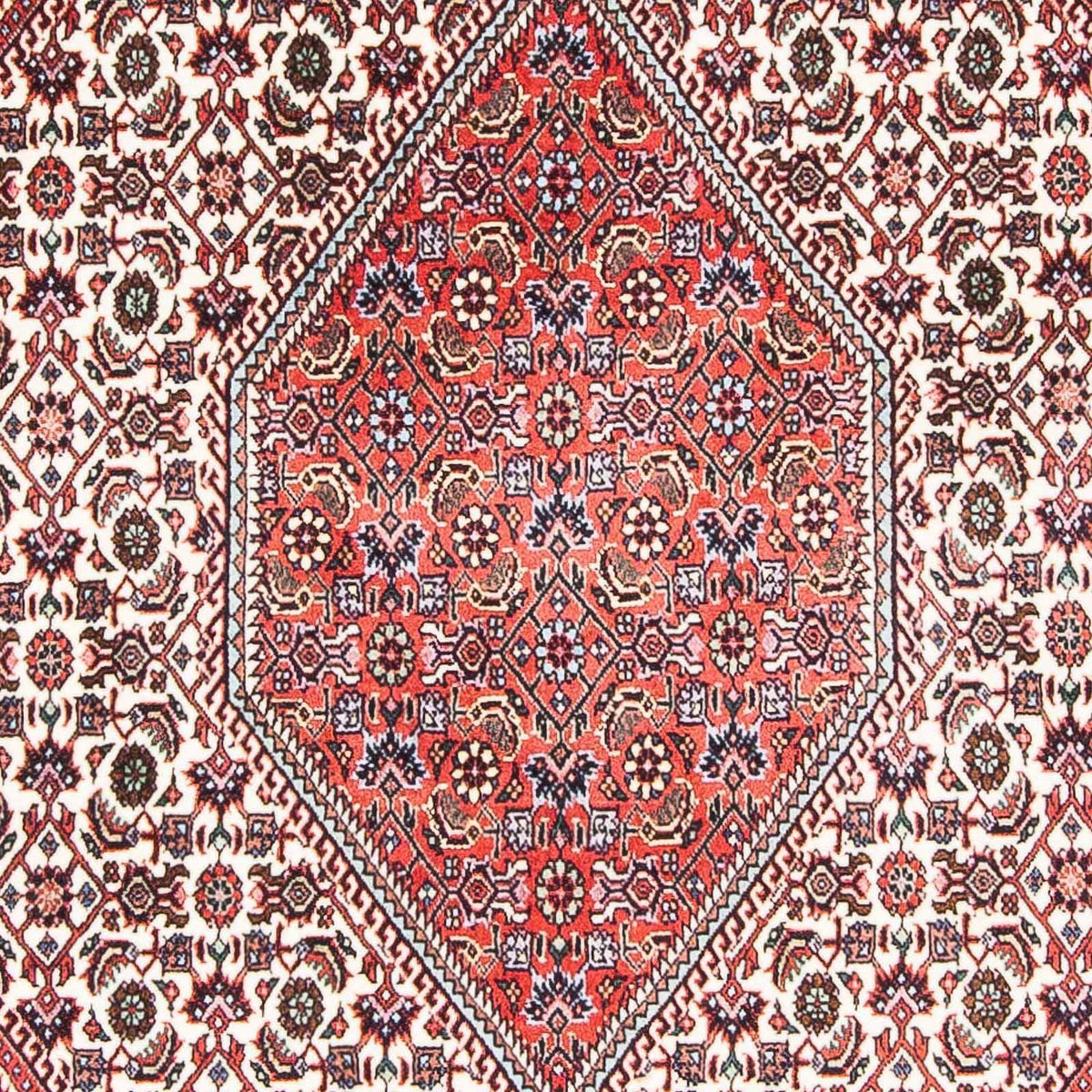 Persisk matta - Bijar - 175 x 113 cm - beige