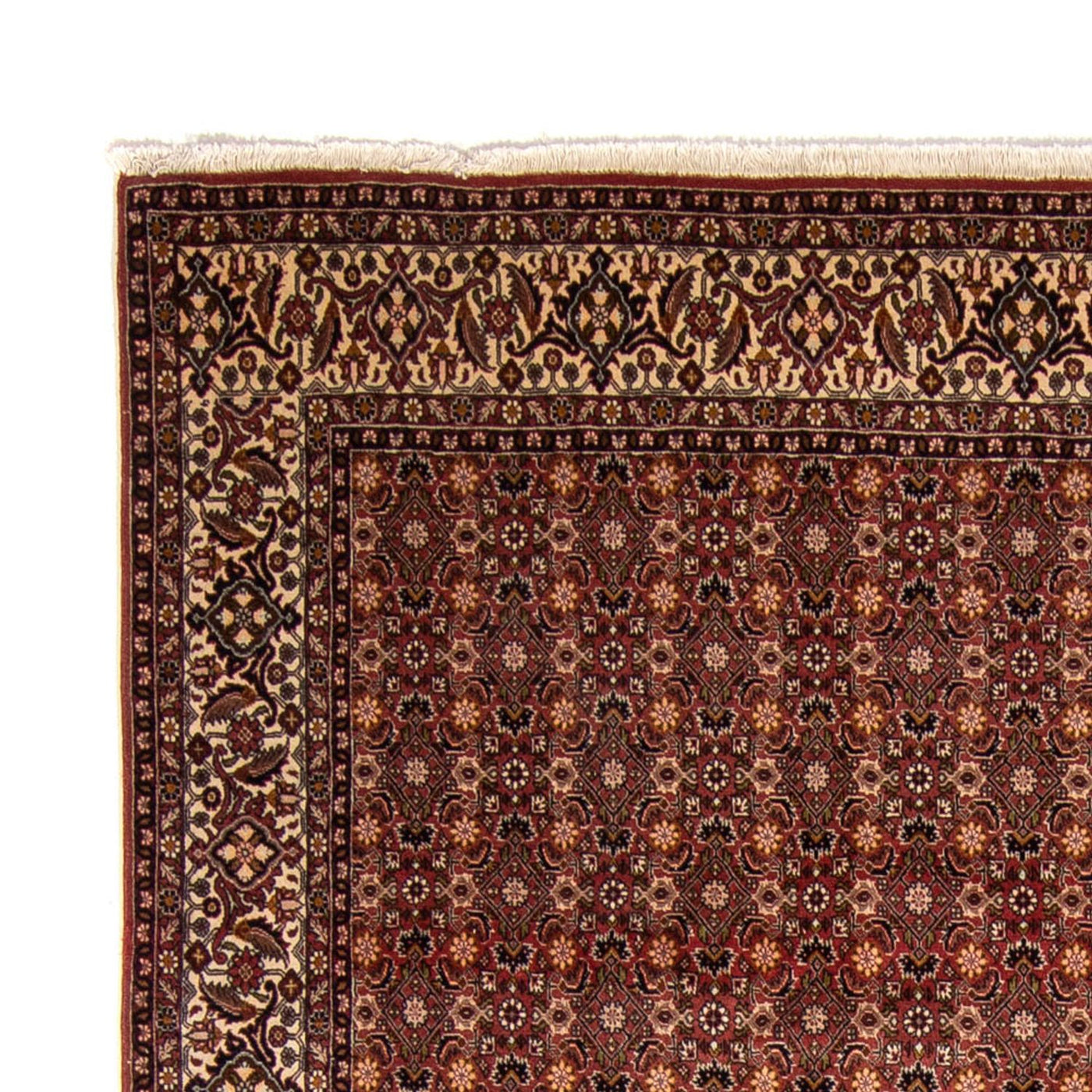 Persisk matta - Bijar - 352 x 252 cm - brun