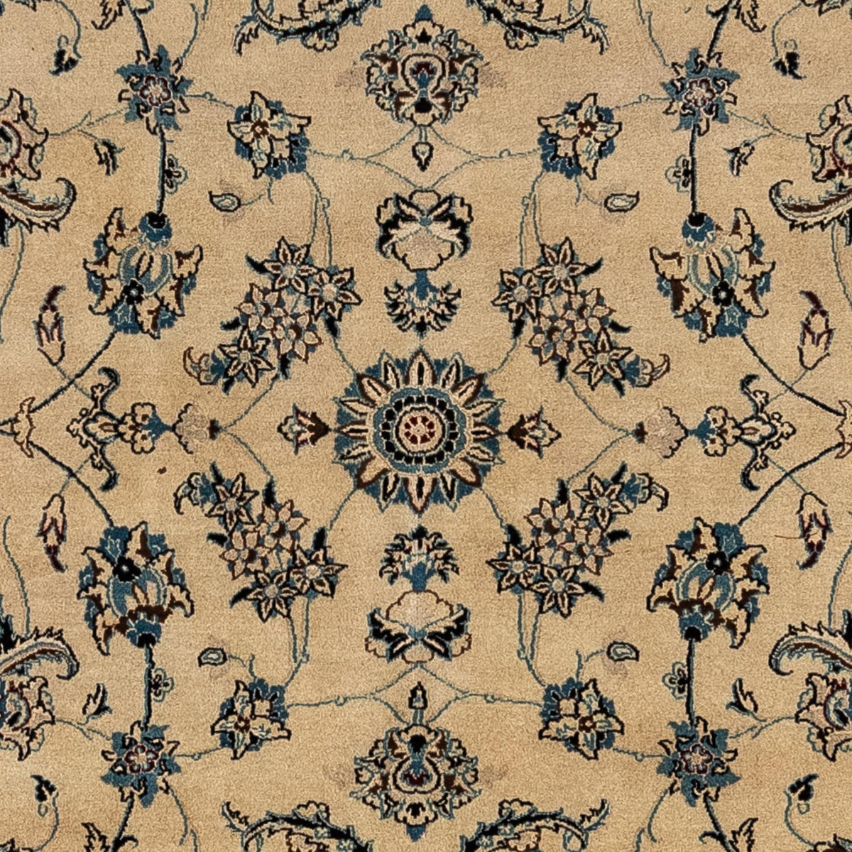 Persisk matta - Nain - Royal - 354 x 248 cm - mörk beige