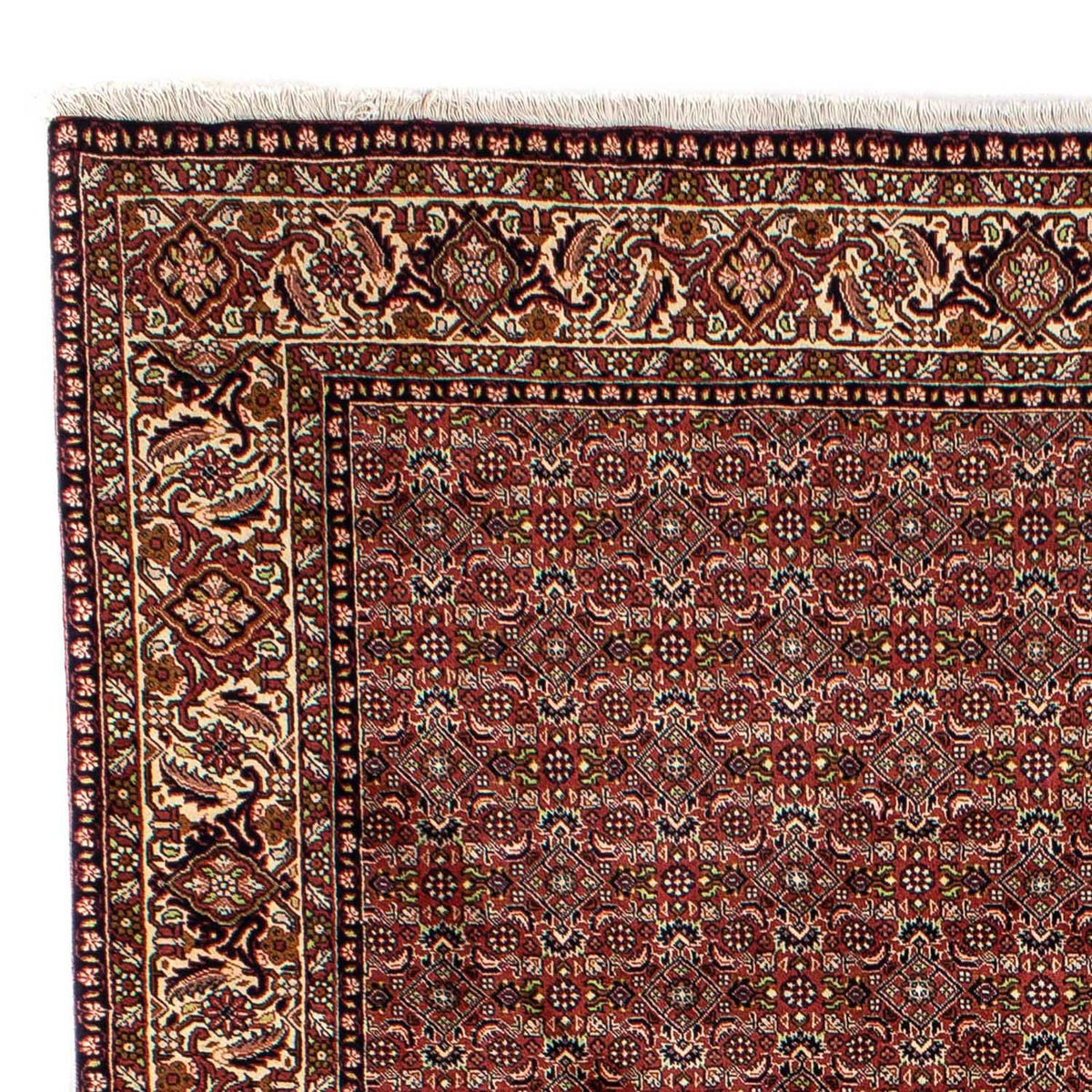 Persisk matta - Bijar - 298 x 202 cm - brun