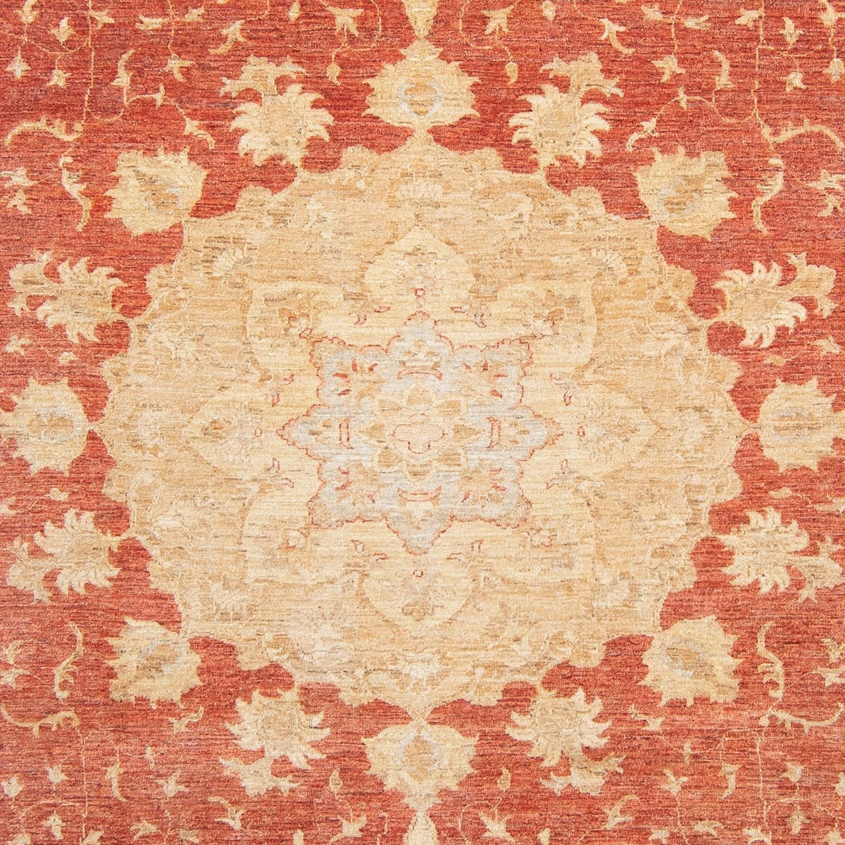 Ziegler Carpet - 355 x 271 cm - ljusröd