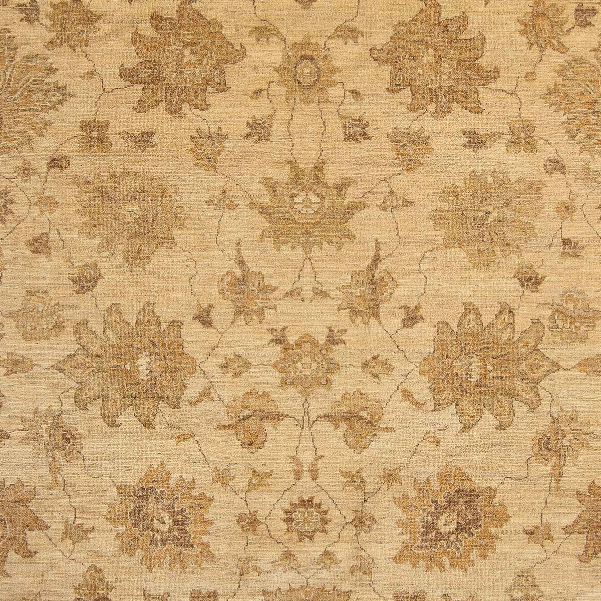 Ziegler Carpet - 317 x 236 cm - ljusbrun
