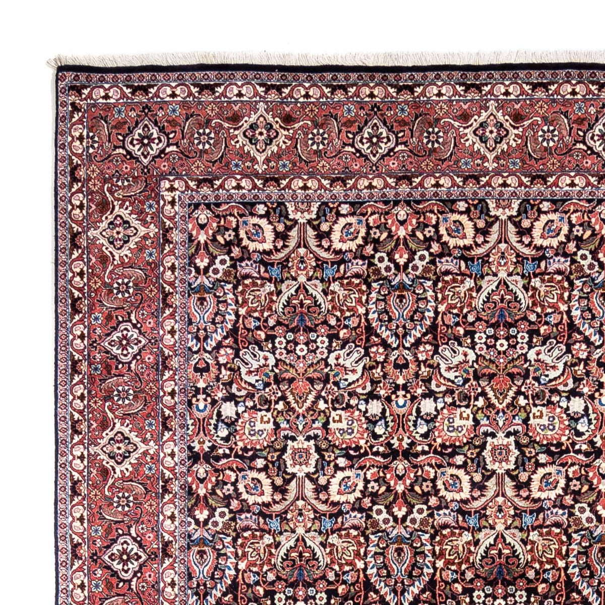 Bidjar - Takab Mattan 258x348cm - Persisk matta