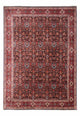 Bidjar - Takab Mattan 342x256cm - Persisk matta