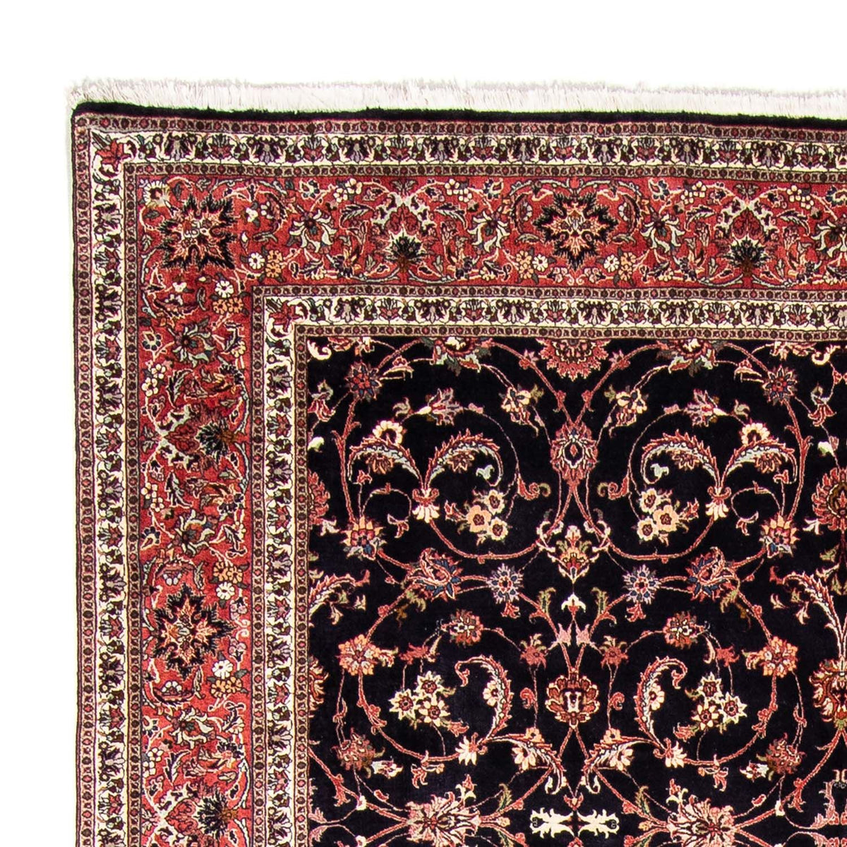 Persisk matta - Bijar - 350 x 257 cm - mörkblå