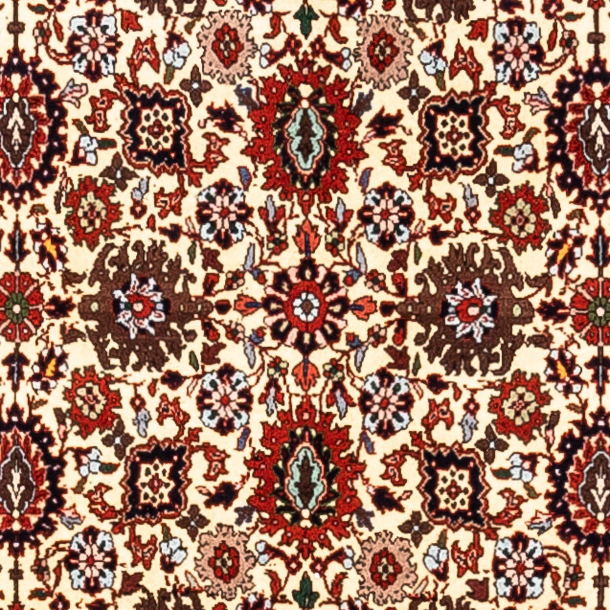 Persisk matta - Bijar - Royal - 356 x 252 cm - beige