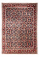 Bidjar - Takab Mattan 253x357cm - Persisk matta
