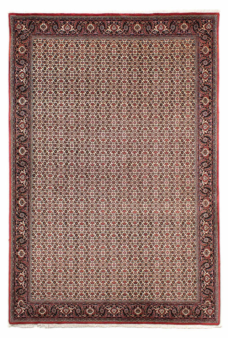 Persisk matta - Bijar - 294 x 200 cm - beige