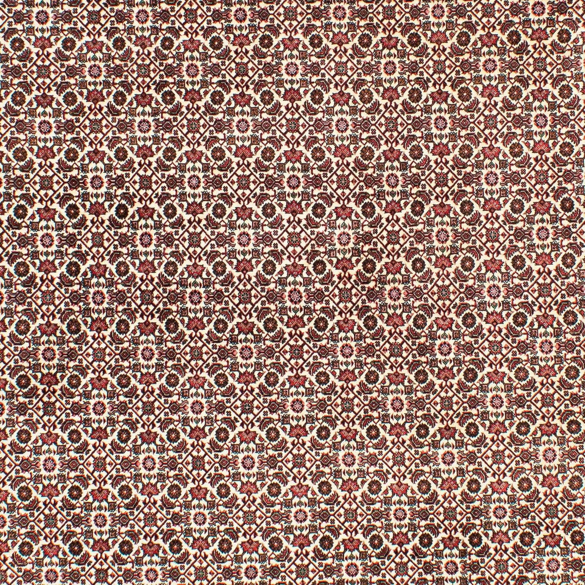 Persisk matta - Bijar - 294 x 200 cm - beige