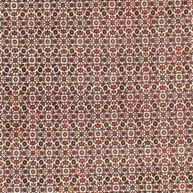 Persisk matta - Bijar - 294 x 200 cm - beige