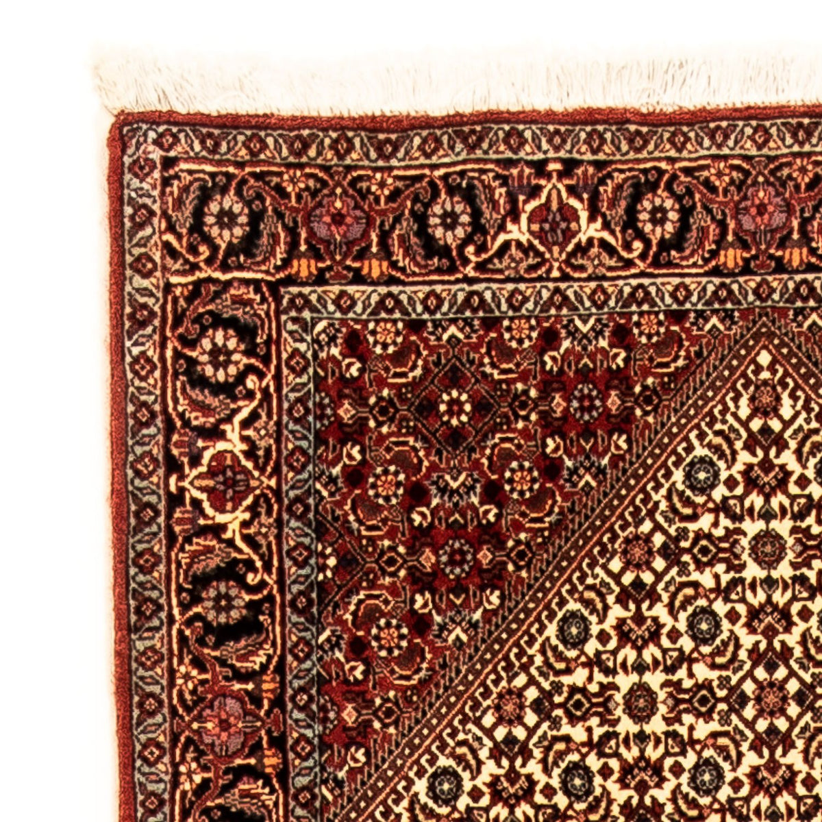 Runner Persisk matta - Bijar - 308 x 85 cm - flerfärgad