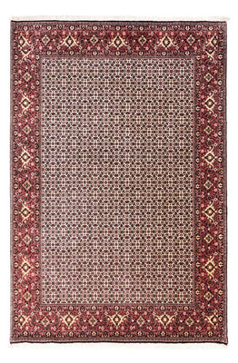 Persisk matta - Bijar - Royal - 296 x 204 cm - beige