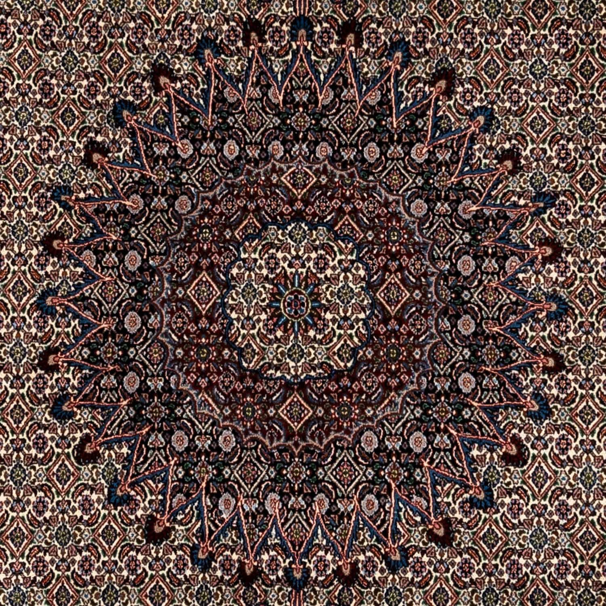 Persisk matta - Classic - 348 x 244 cm - beige