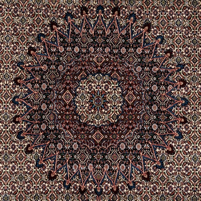 Persisk matta - Classic - 348 x 244 cm - beige