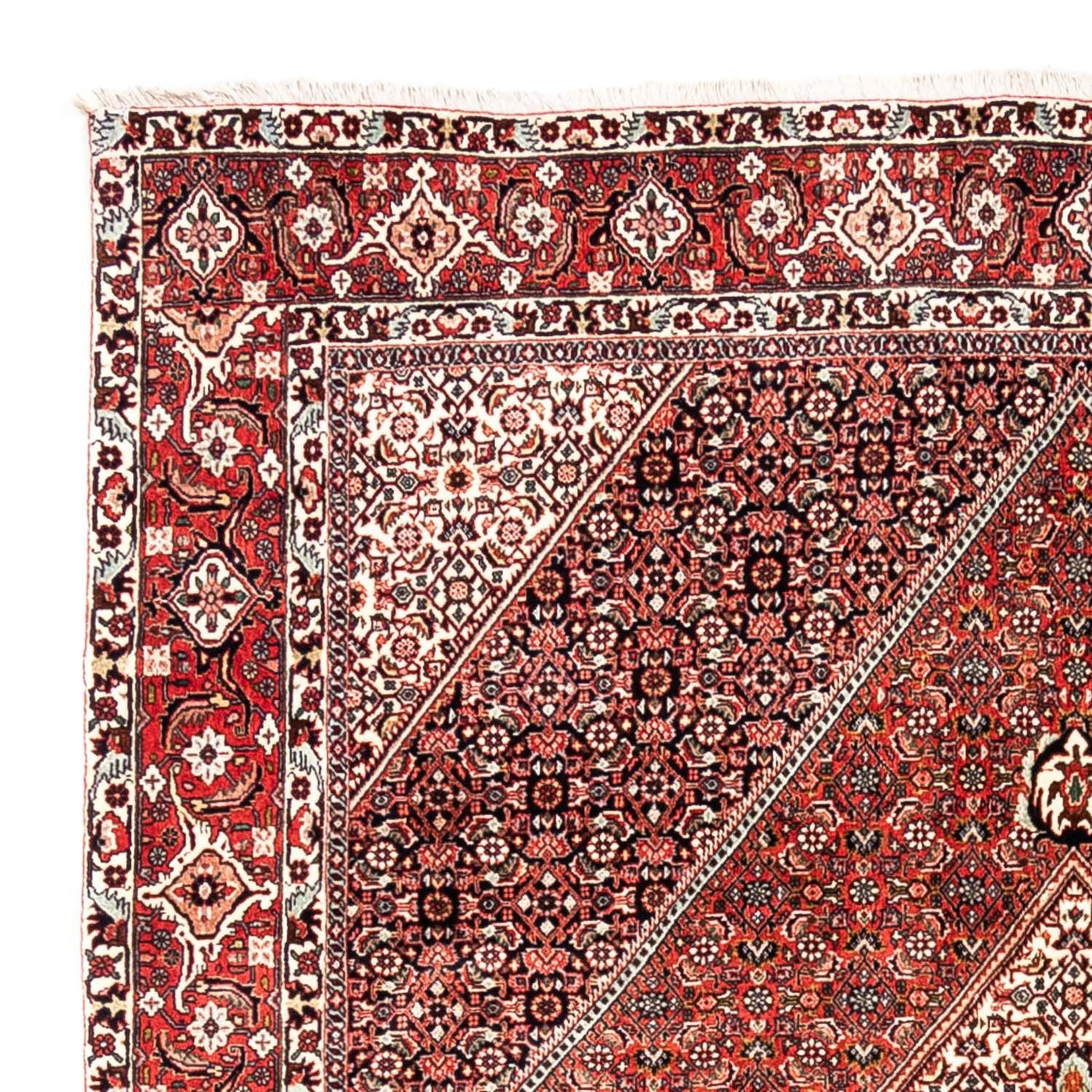 Bidjar - Takab Mattan 285x195cm - Persisk matta