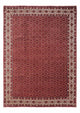 Bidjar - Takab Mattan 252x340cm - Persisk matta