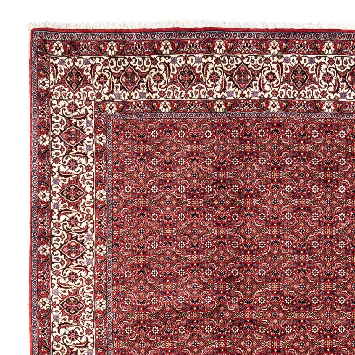 Bidjar - Takab Mattan 252x340cm - Persisk matta