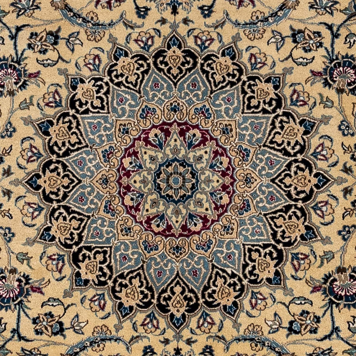 Persisk matta - Nain - Royal - 344 x 245 cm - mörk beige