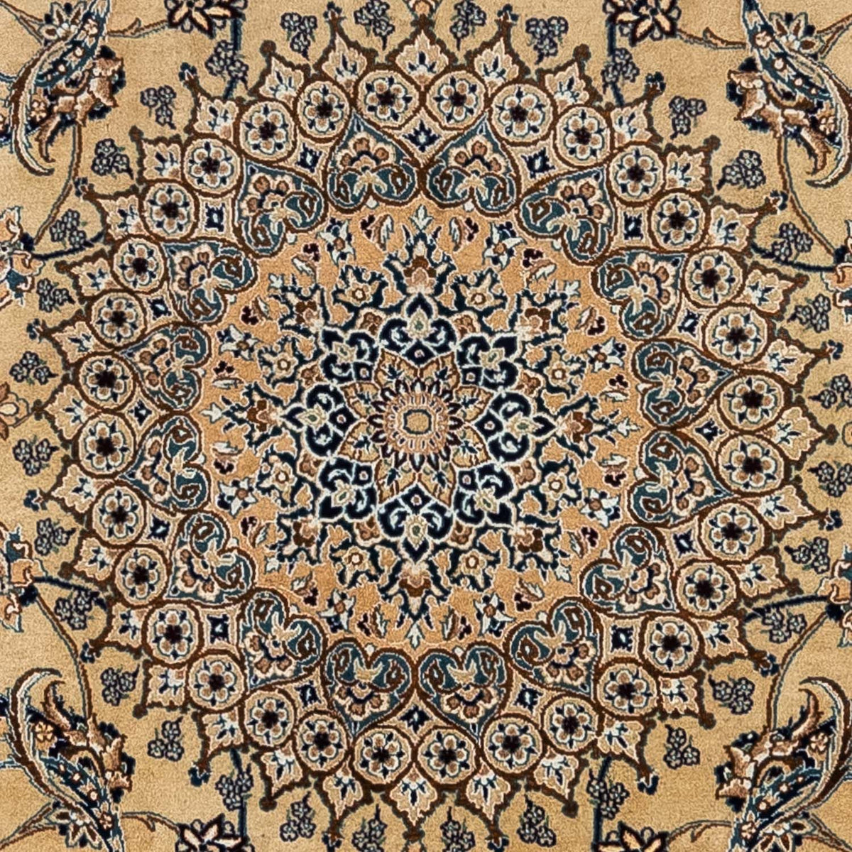 Persisk matta - Nain - Royal - 342 x 240 cm - beige