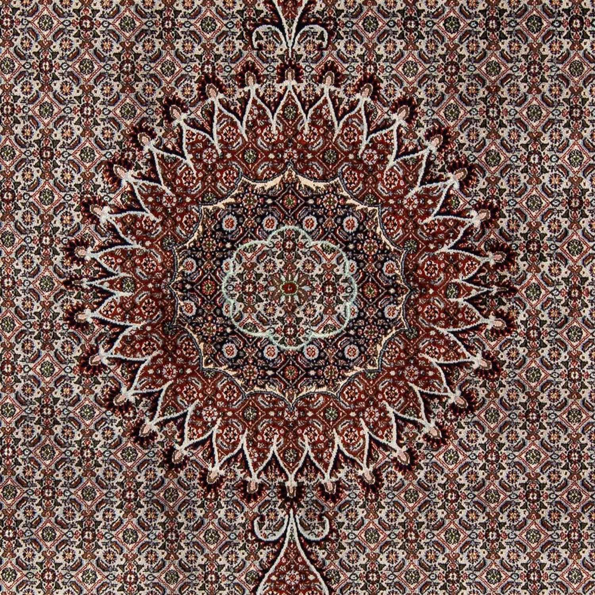 Persisk matta - Classic - 284 x 201 cm - beige