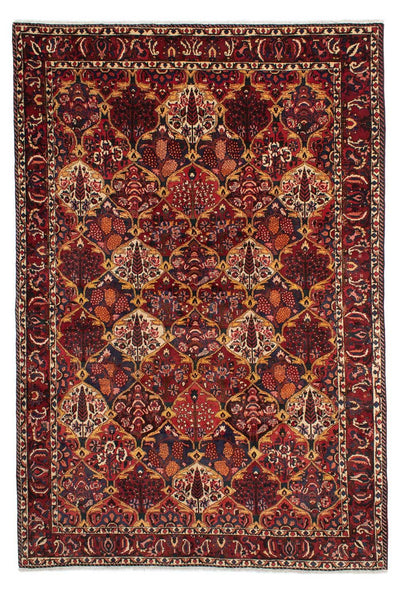 Bakhtiari Mattan 211x305cm - Persisk matta