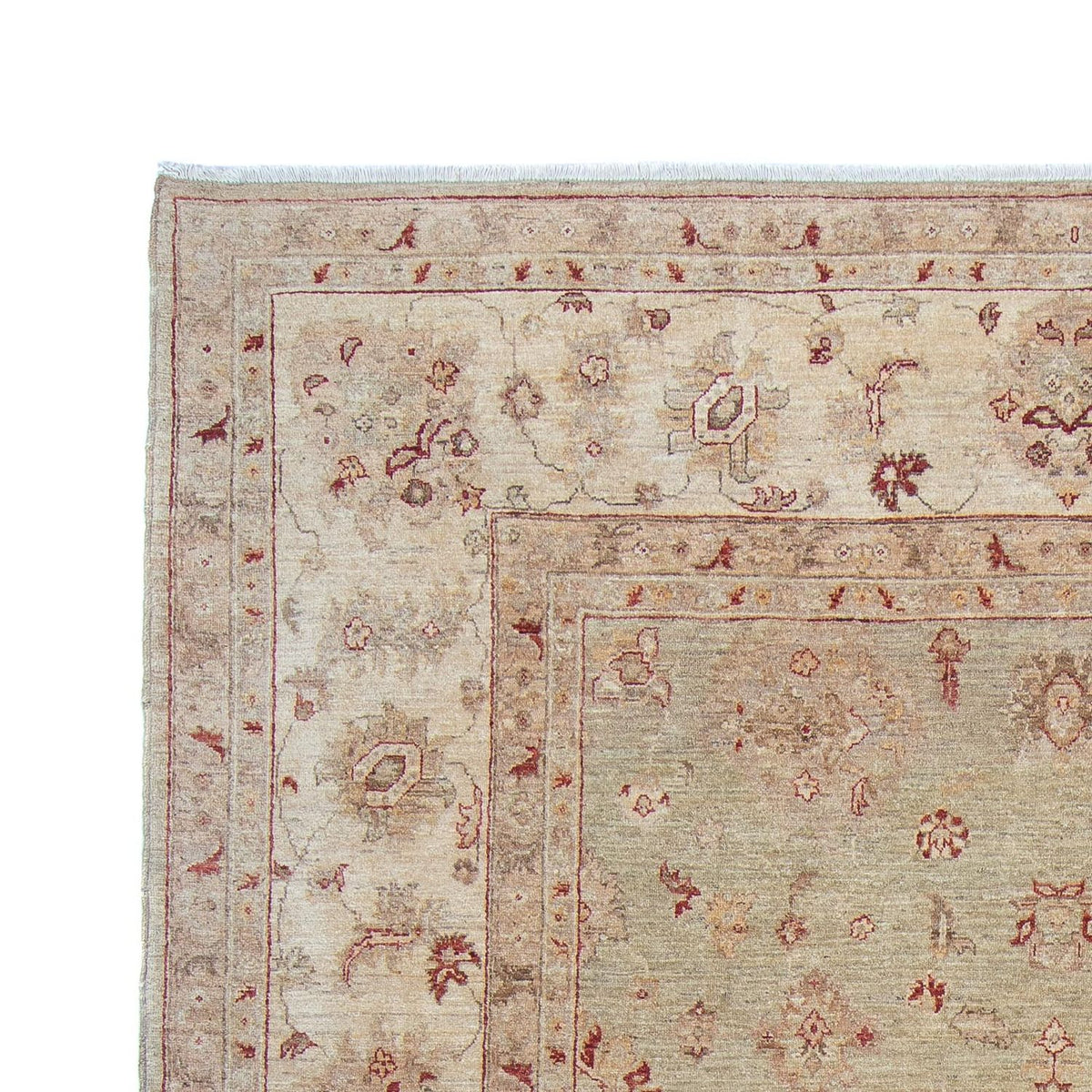 Ziegler Carpet - 368 x 279 cm - ljusbeige