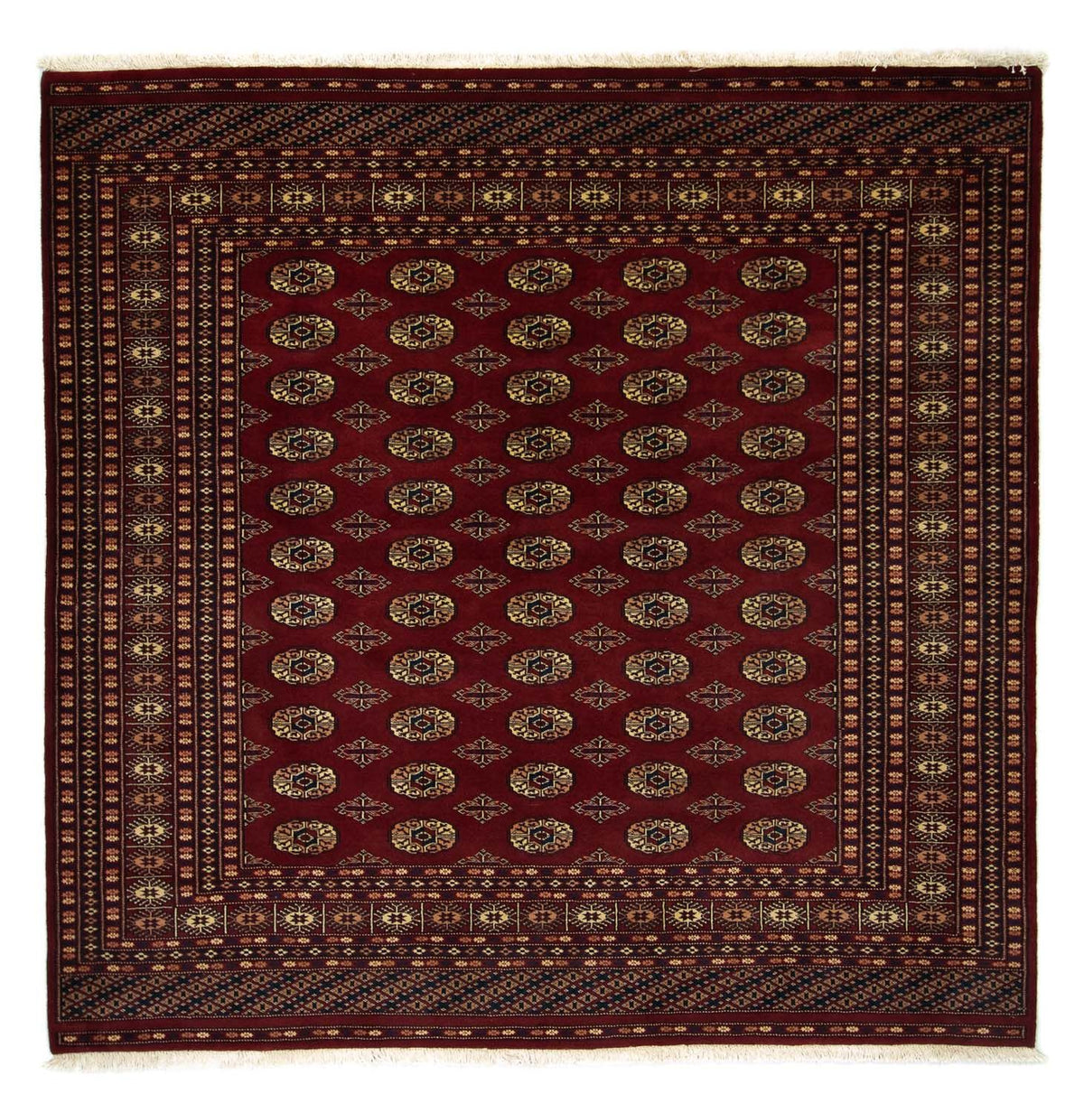 Afghansk matta - Bukhara kvadrat  - 205 x 205 cm - röd