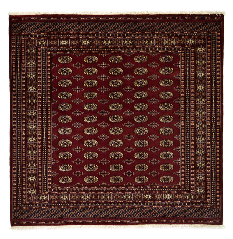 Afghansk matta - Bukhara kvadrat  - 205 x 205 cm - röd