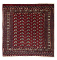 Afghansk matta - Bukhara kvadrat  - 203 x 199 cm - röd
