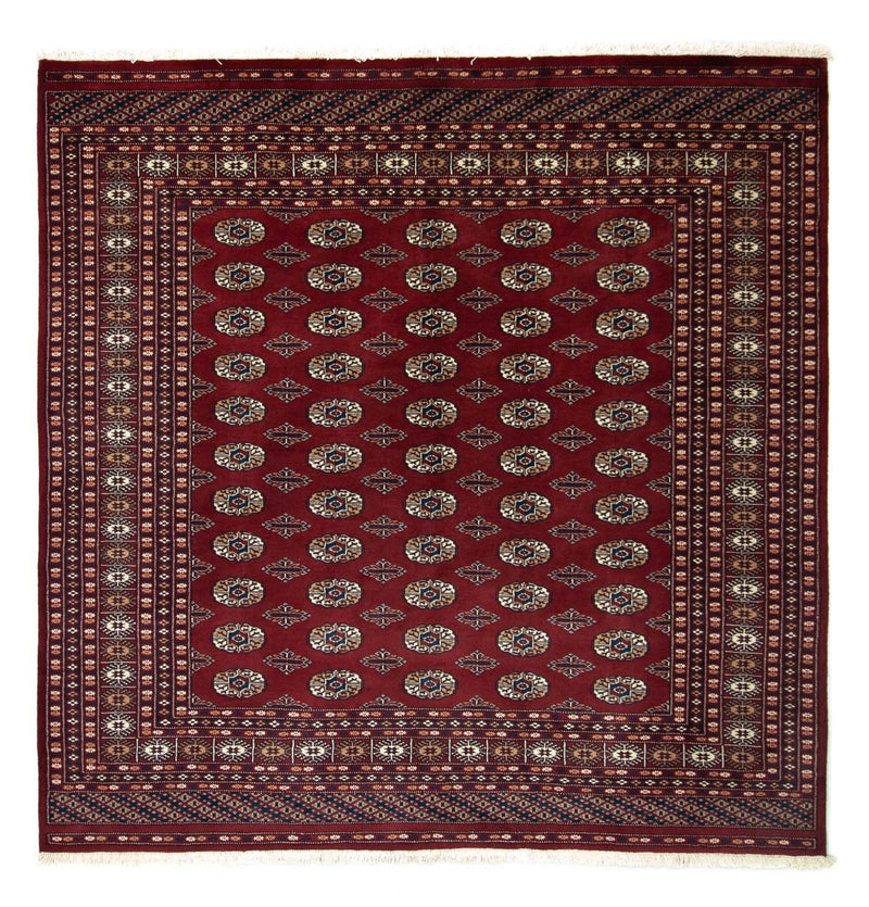 Afghansk matta - Bukhara kvadrat  - 203 x 199 cm - röd