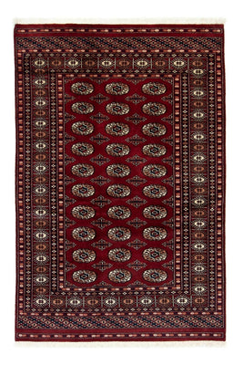Afghansk matta - Bukhara - 186 x 121 cm - röd