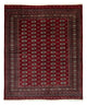Bukhara Mattan 247x201cm - Oriental Carpet