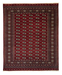 Afghansk matta - Bukhara - 241 x 197 cm - röd