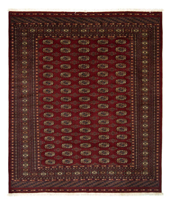 Afghansk matta - Bukhara - 240 x 203 cm - röd