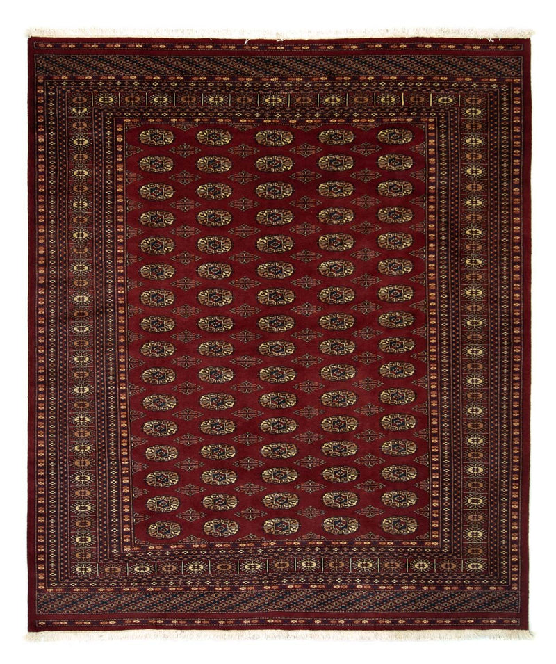 Afghansk matta - Bukhara - 240 x 203 cm - röd
