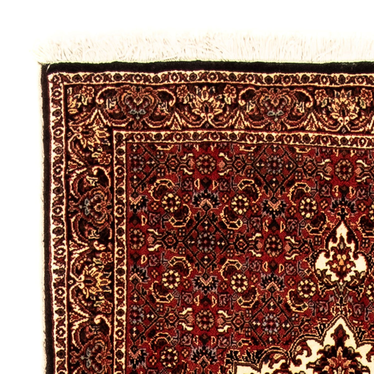 Runner Persisk matta - Bijar - 270 x 72 cm - flerfärgad