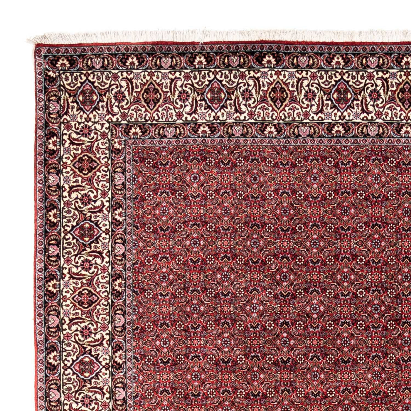 Persisk matta - Bijar - Royal - 338 x 252 cm - röd
