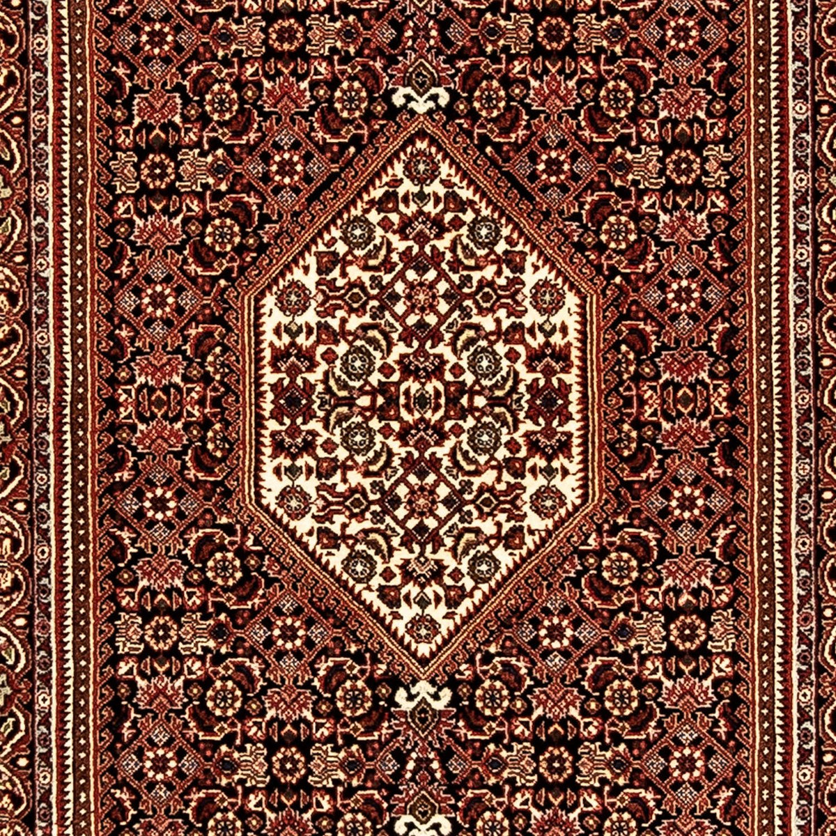 Runner Persisk matta - Bijar - 225 x 69 cm - flerfärgad
