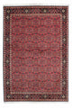 Bidjar - Zanjan Mattan 206x140cm - Persisk matta