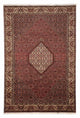 Persisk matta - Bijar - 295 x 204 cm - brun