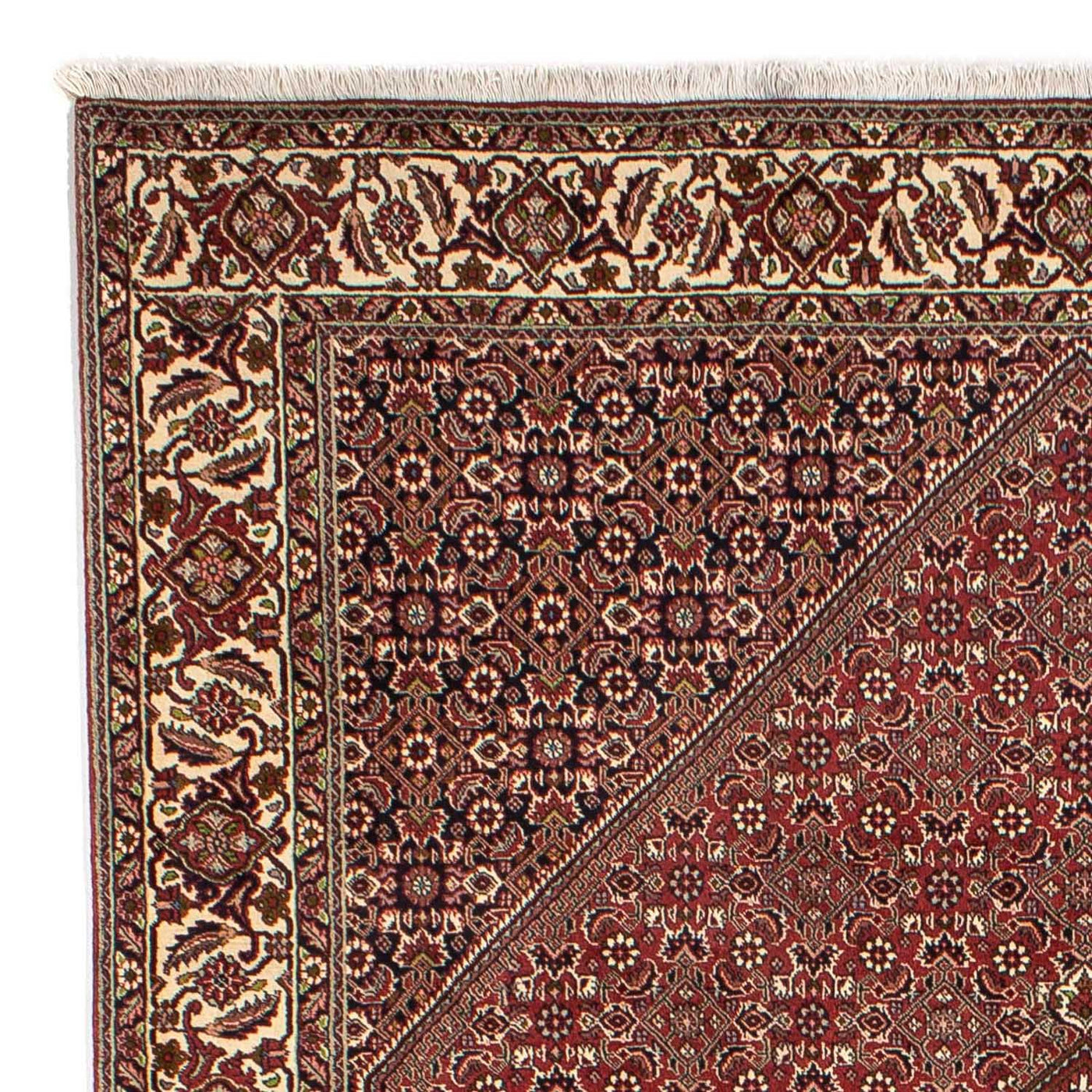 Persisk matta - Bijar - 295 x 204 cm - brun