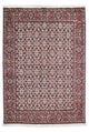 Bidjar - Zanjan Mattan 128x207cm - Persisk matta