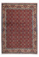 Bidjar - Zanjan Mattan 193x137cm - Persisk matta
