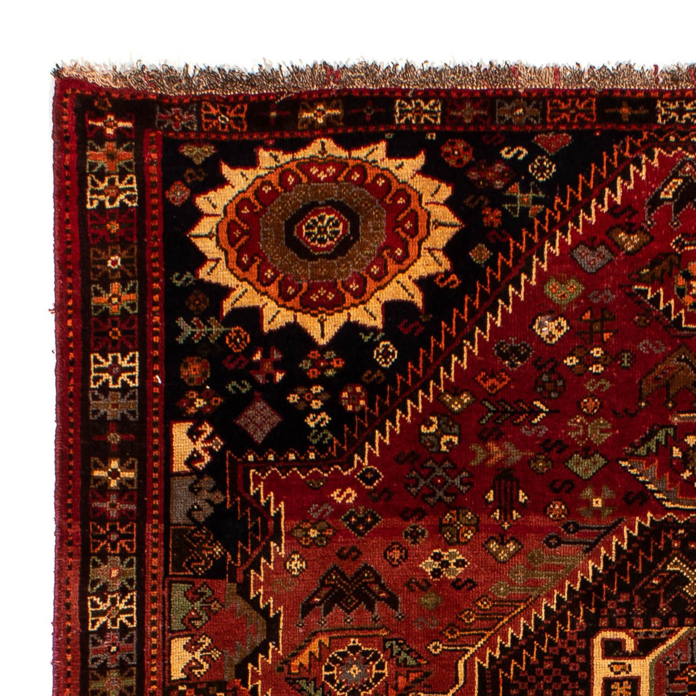 Shiraz Mattan 285x185cm - Persisk matta