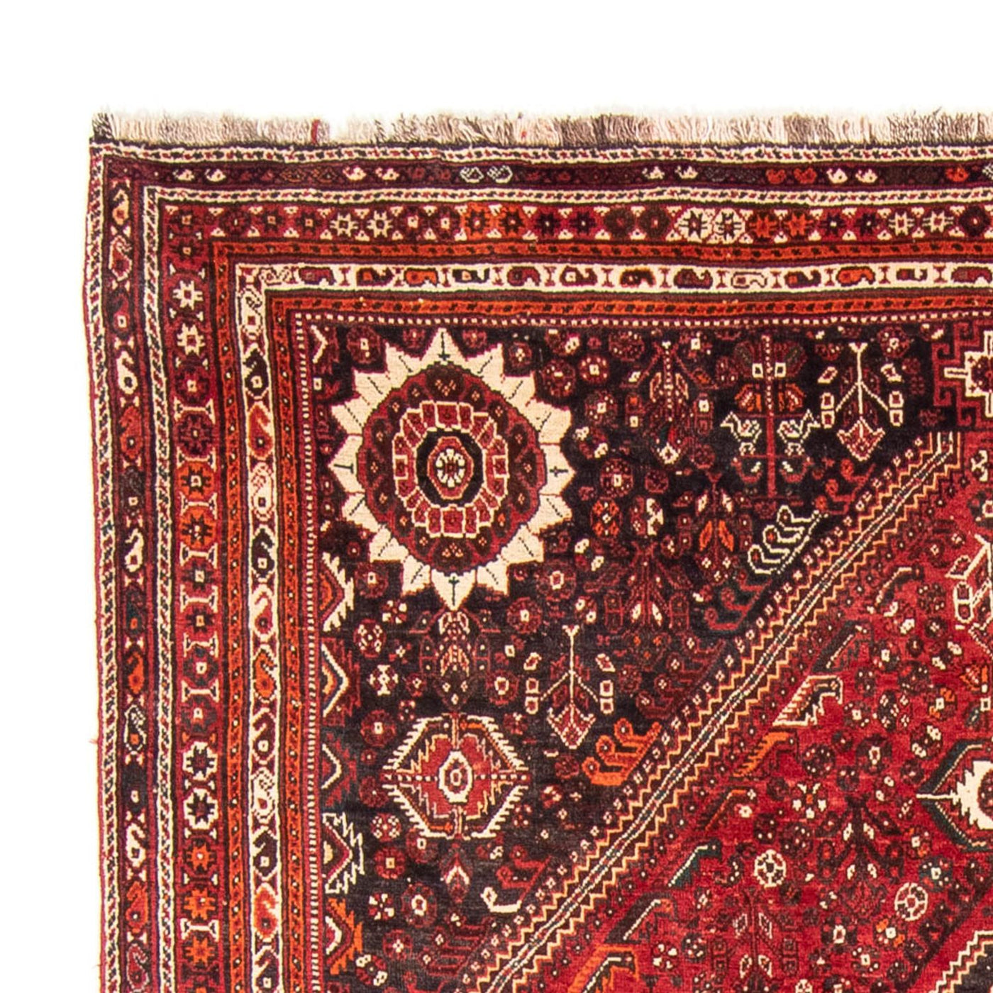 Qashqai Mattan 328x215cm - Persisk matta